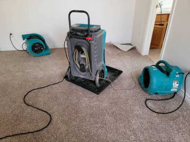 Best Water damage contractors near me  in Peaceful Valley, WA