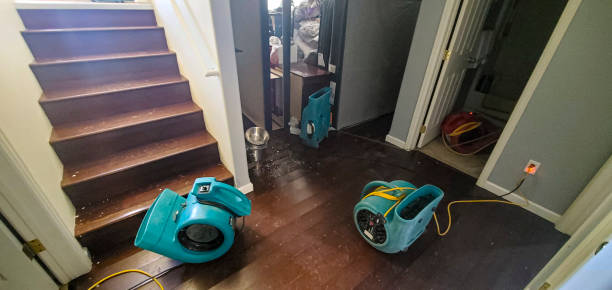 Carpet water damage restoration in Peaceful Valley, WA