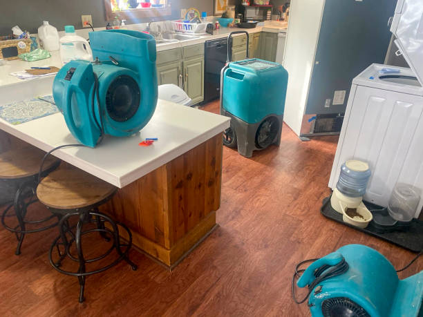 Best Water damage mitigation services  in Peaceful Valley, WA